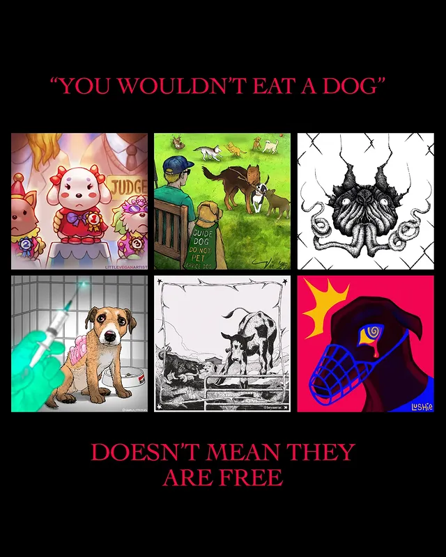 "You wouldn`t eat a dog" - Doesn`t mean they are free